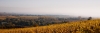 Plaine d\'Alsace