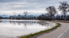 paysage