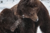 ours-2