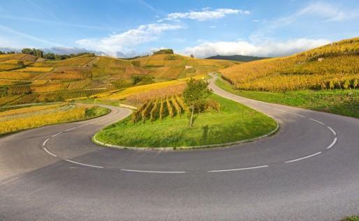 La Route des Vins 1